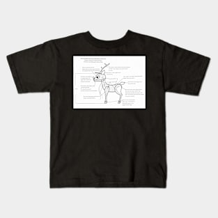 Official Rankin/Bass Productions Animagic puppet design Kids T-Shirt